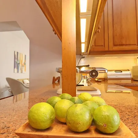 Сasa de vacaciones House